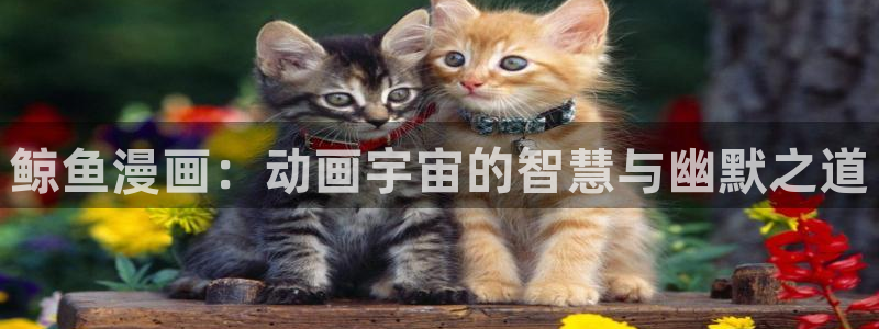 奇优影院在线影院