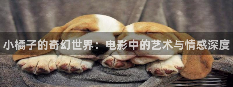 奇优影院高清版免费