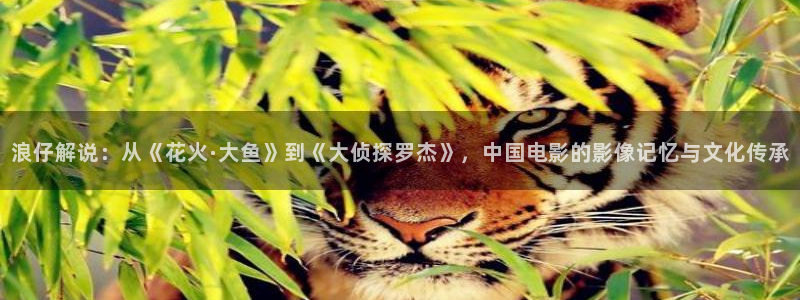 奇优影院手机版手机在线观看