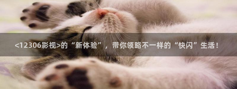 艳母奇优影院：<12306影视>的“新体验”，带你领略不一样的“快闪”生活！