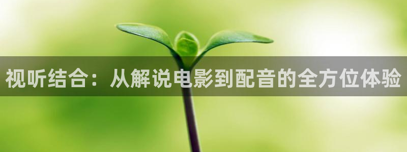 奇优影院电视剧高清免费观看：视听结合：从解说电影到配音的全方位体验