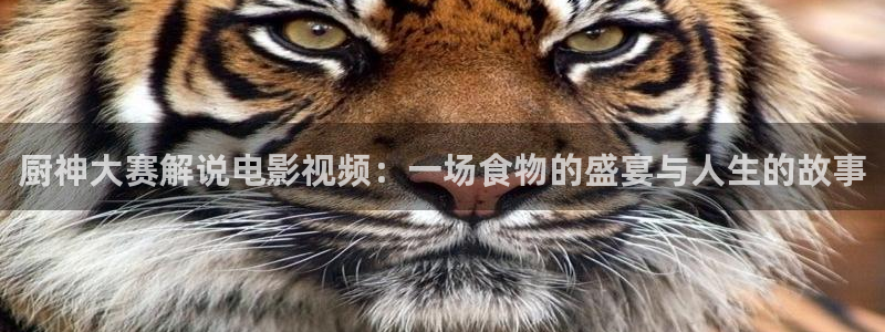 奇优影院在线高清免费观看