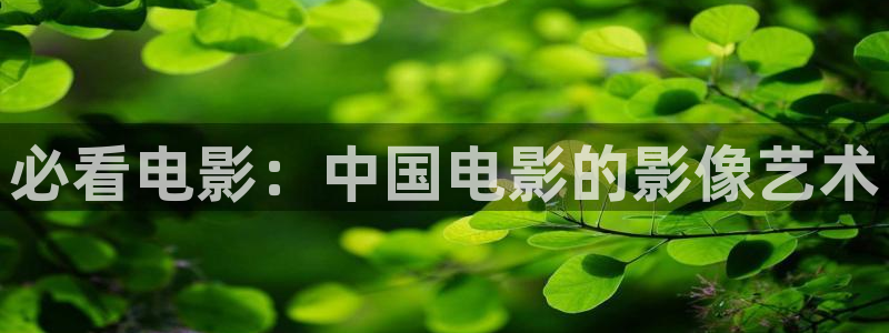 奇优影院：必看电影：中国电影的影像艺术