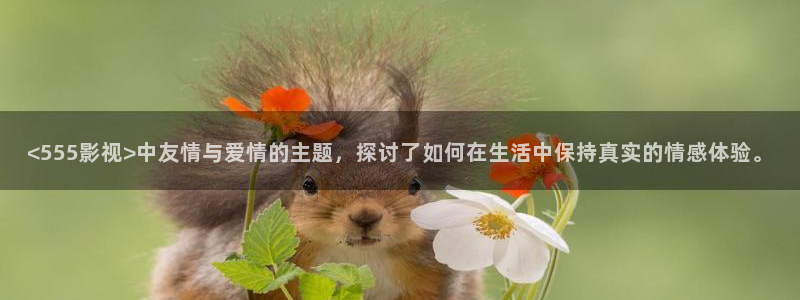 奇优影院在线观看电视剧剧情：<555影视>中友情与爱情的主题，探讨了如何在生活中保持真实的情感体验。