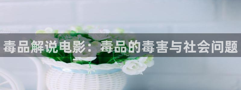 奇优影院在线观看电视剧大全