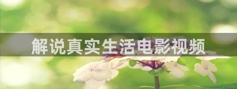 妈妈的朋友4奇优影院
