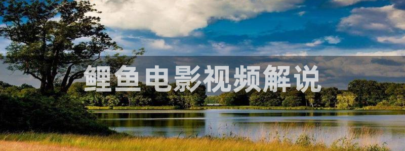 奇优影院手机版电视剧