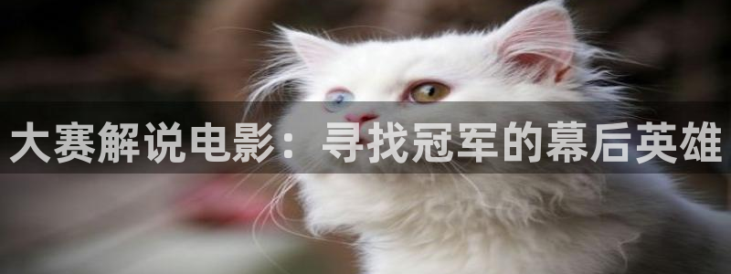 奇优影院年轻的母亲