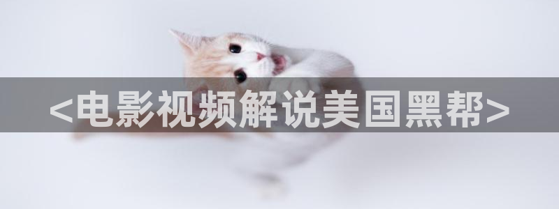 奇优影院手机版官网