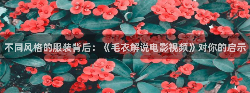 奇优影院电视剧高清免费在线观看