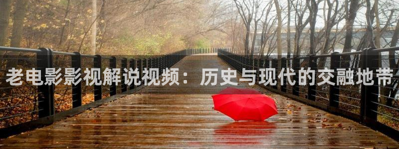 奇优影视手机版免费观看完整版