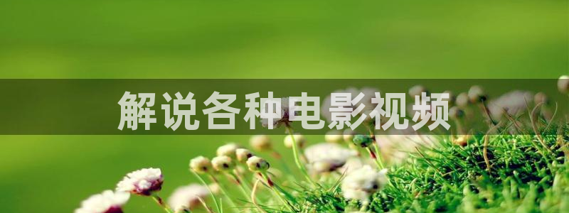 奇优影视在线观看免费播放电视剧
