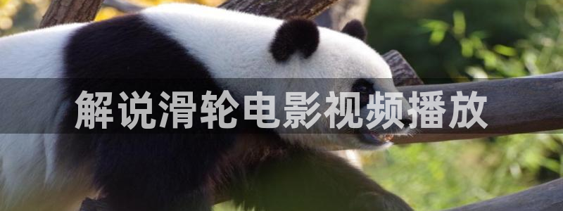 奇优影院手机在