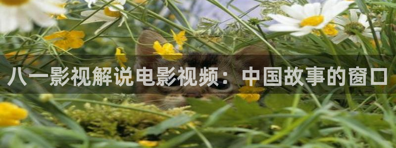 奇优影院手机版免费高清