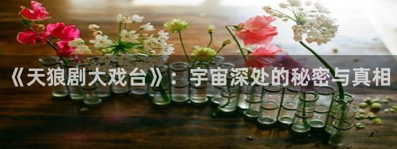 奇优影院的最新版本更新内容