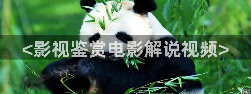 奇优影院收藏较多