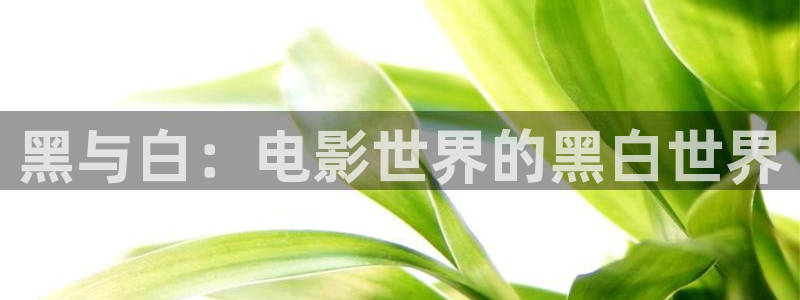 奇优影院的最新版本更新内容